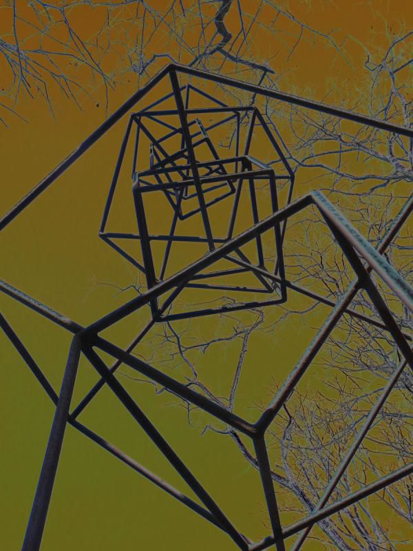 Lisa Gray: Tangled